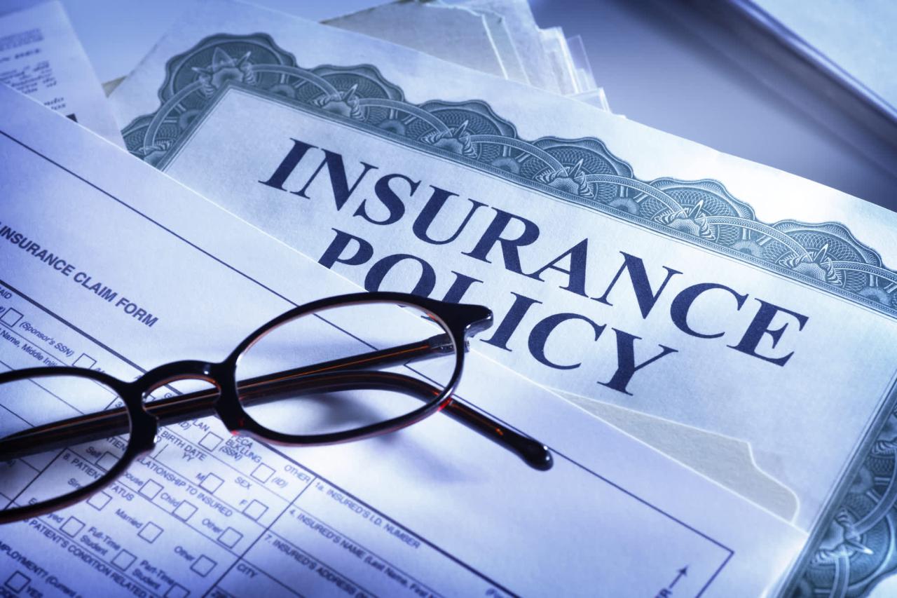 Insurance health germany visa student schengen