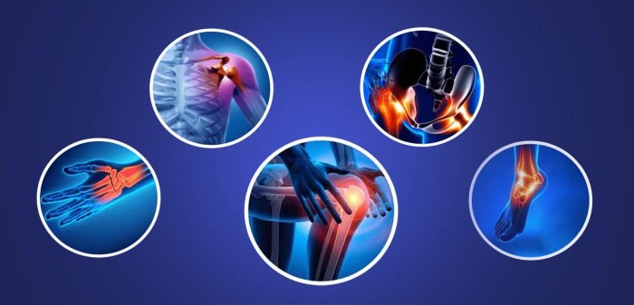 Ortopedia traumatologia ortho